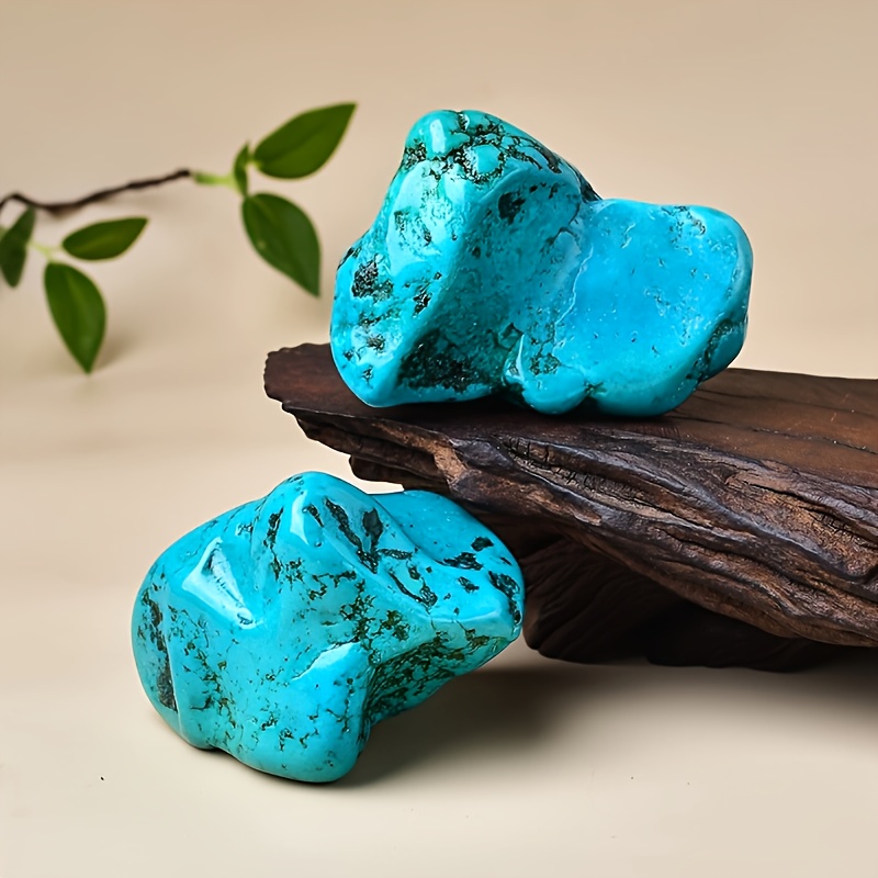 قطعة واحدة من حجر الفيروز الطب - مراجعة Aquarium Marine Stone وسعره