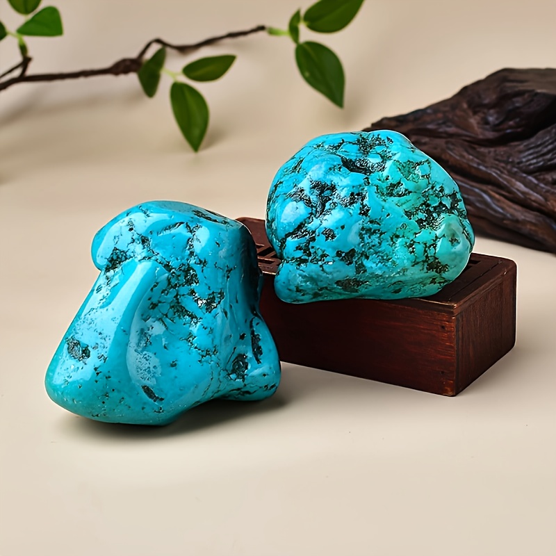 قطعة واحدة من حجر الفيروز الطب - مراجعة Aquarium Marine Stone وسعره