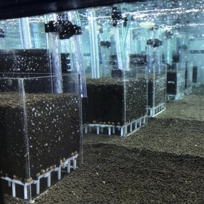 صندوق فلتر أكريليك شفاف مربع ا - مراجعة Marine Aquarium Overflow Box وسعره