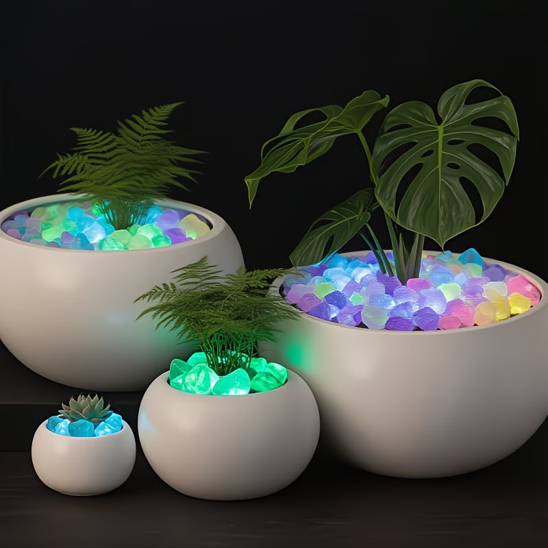 مجموعة 300 قطعة من الحصى المضي - مراجعة Aquarium Marine Plants وسعره