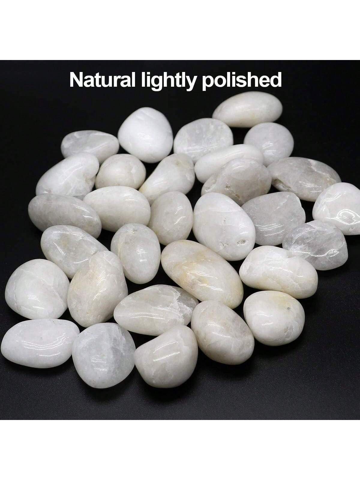 نهر الصخور الزخرفية الحصى البي - مراجعة Aquarium Marine Stone وسعره