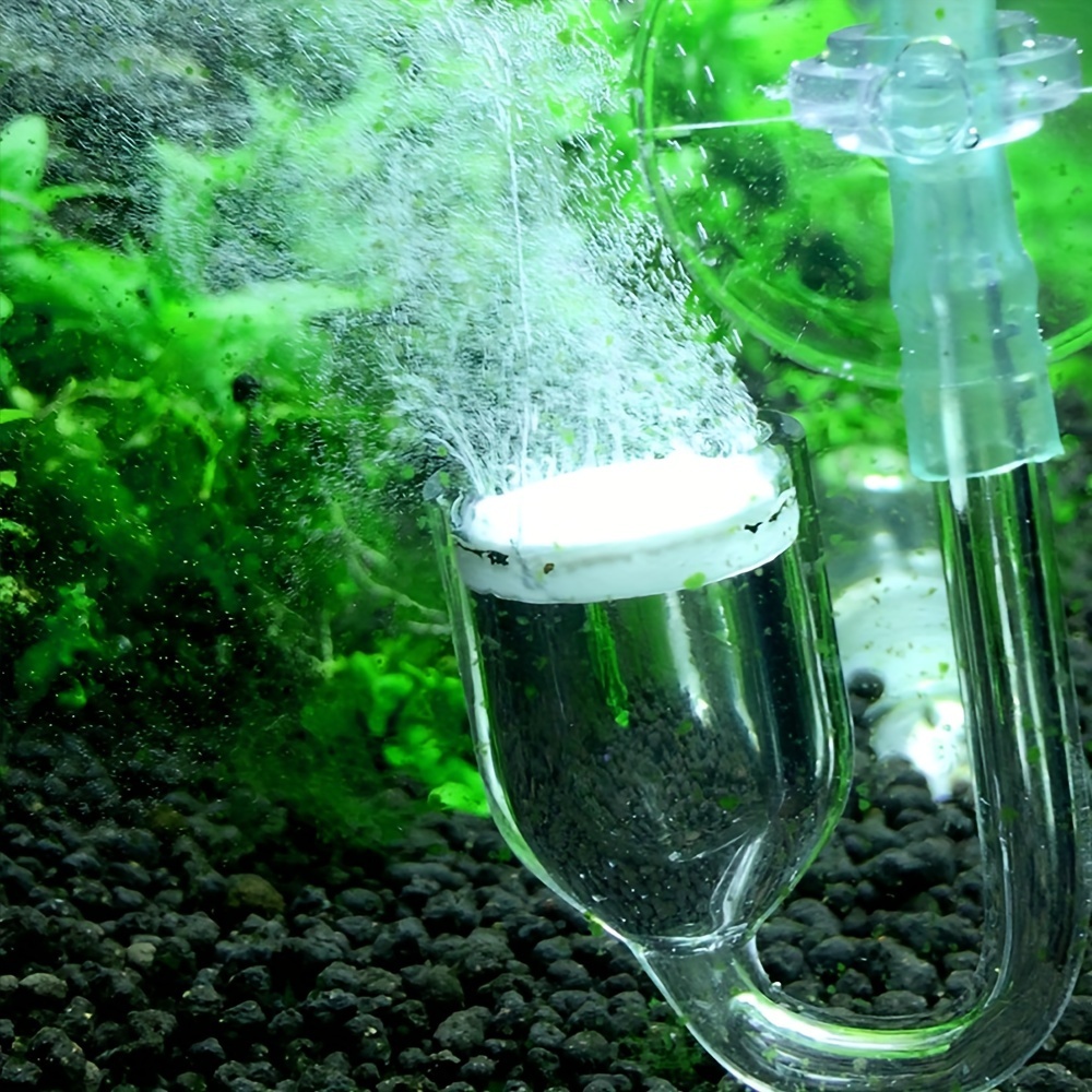 حوض السمك الزجاج CO2 البخاخة ا - مراجعة Aquarium Marine Plants وسعره