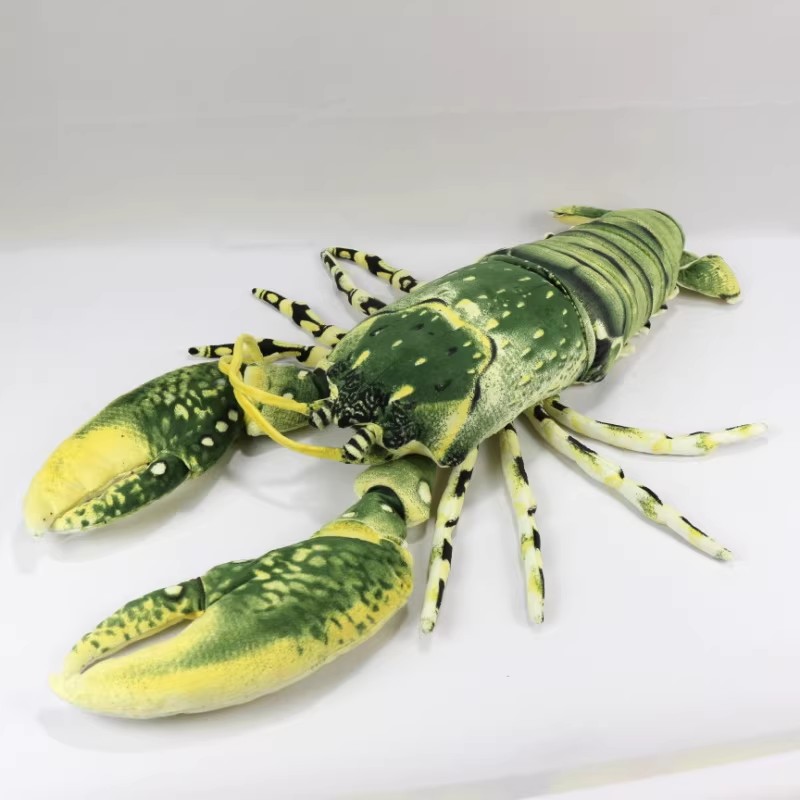 محاكاة الحيوان أستراليا Spiny  - مراجعة Aquarium Marine Park وسعره