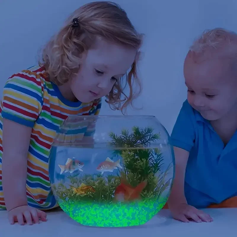 1000 قطعة 3-5 مللي متر مضيئة ا - مراجعة Aquarium Marine Stone وسعره