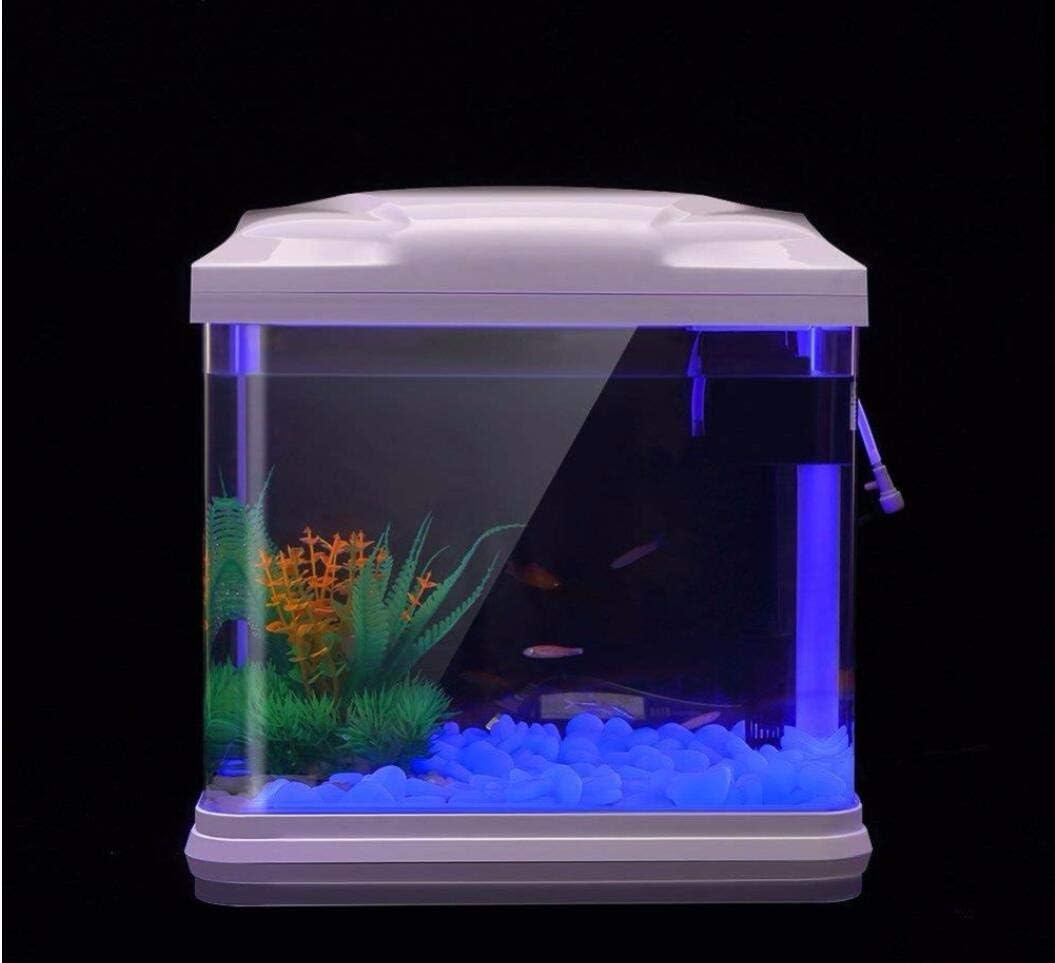 حوض السمك الصخور توهج الحصى ال - مراجعة Aquarium Marine Plants وسعره