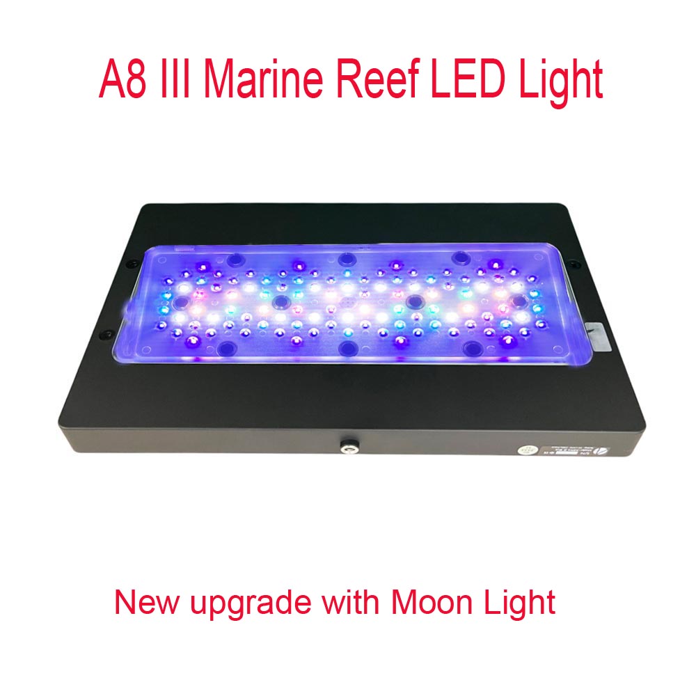 A8 III مون لايت - إضاءة قوية ل - مراجعة Marine Aquarium & Regional Centre Reviews وسعره