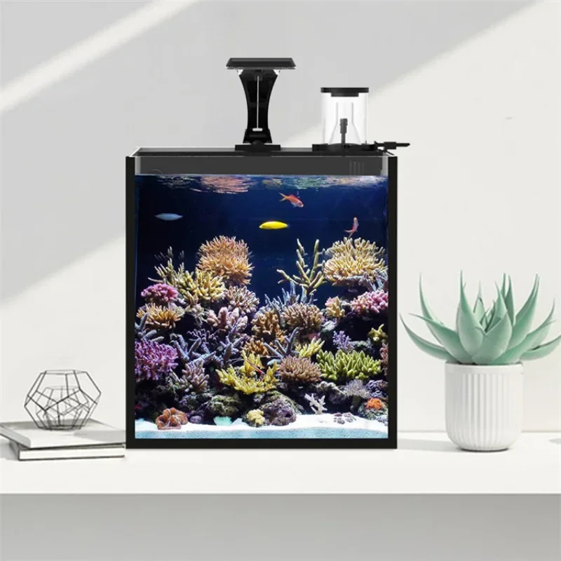 حوض أسماك بحرية صغير من الزجاج - مراجعة Marine Aquarium Tank For Sale وسعره