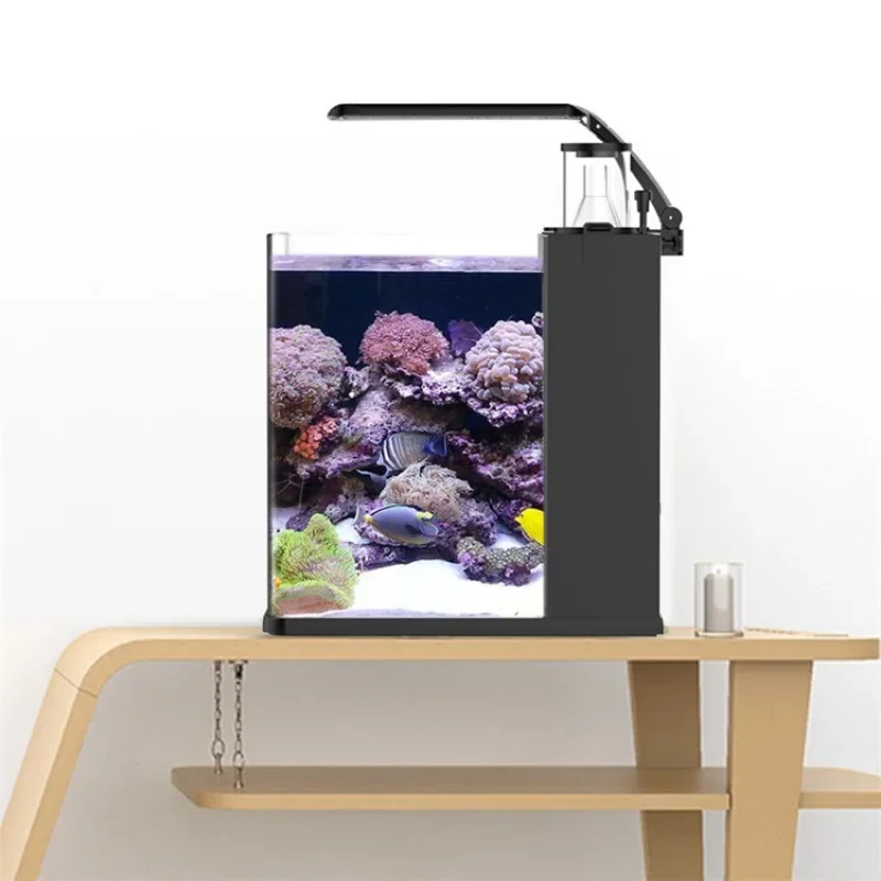حوض أسماك بحرية صغير من الزجاج - مراجعة Marine Aquarium Tank For Sale وسعره