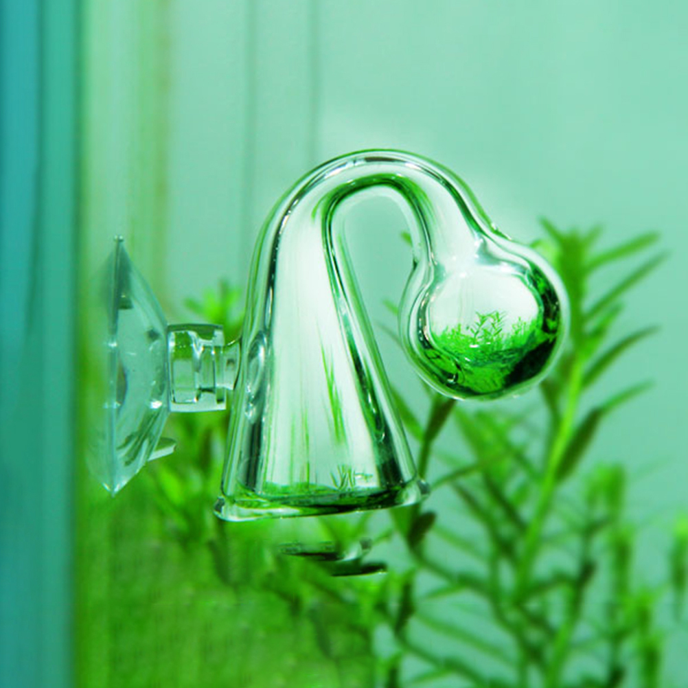 مدقق قطرة الزجاج لخزان الأسماك - مراجعة Aquarium Marine Plants وسعره