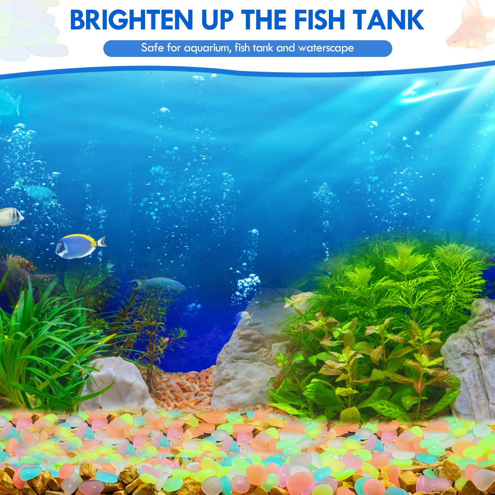 100 قطعة يتوهج في الظلام حديقة - مراجعة Aquarium Marine Stone وسعره