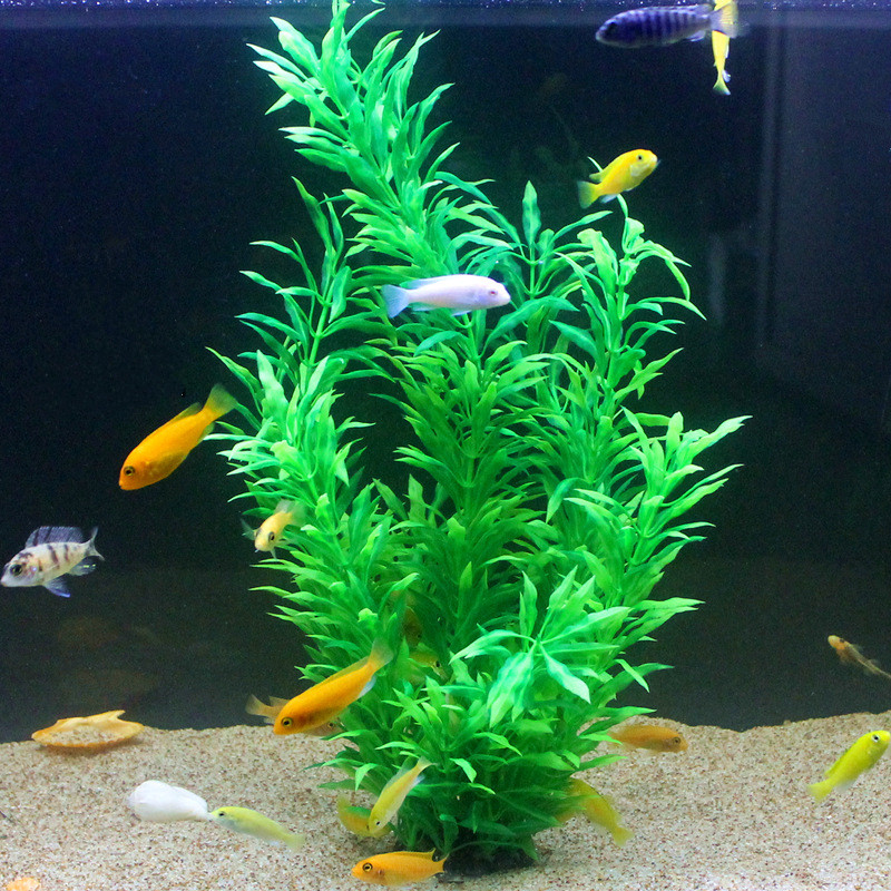 نباتات اصطناعية نادرة لأحواض ا - مراجعة Aquarium Marine Plants وسعره
