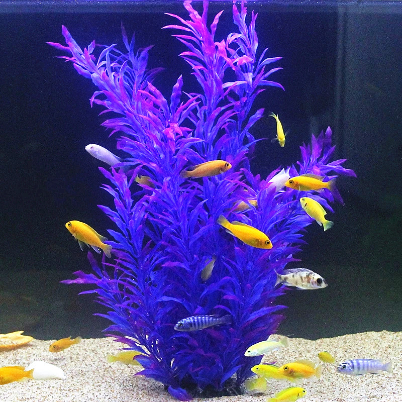 نباتات اصطناعية نادرة لأحواض ا - مراجعة Aquarium Marine Plants وسعره