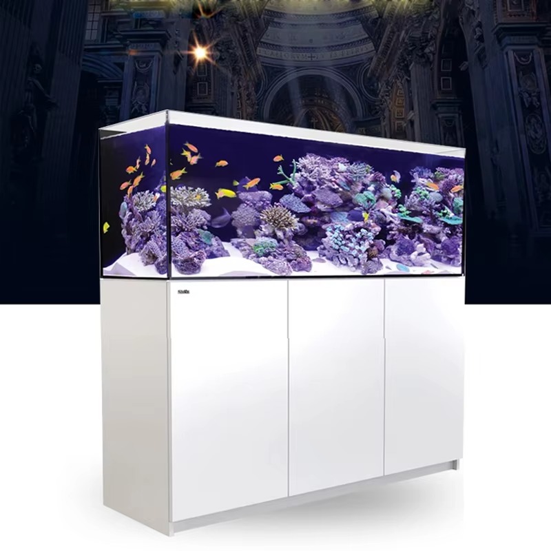إكسسوارات أحواض السمك عالية ال - مراجعة Aquarium Marine Setup وسعره