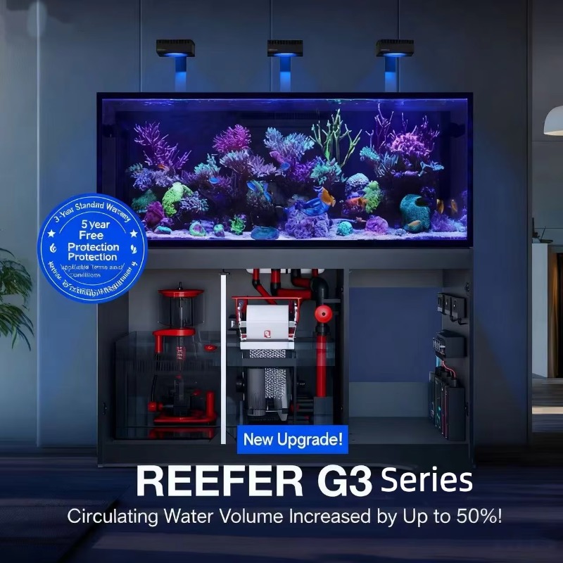 إكسسوارات أحواض السمك عالية ال - مراجعة Aquarium Marine Setup وسعره