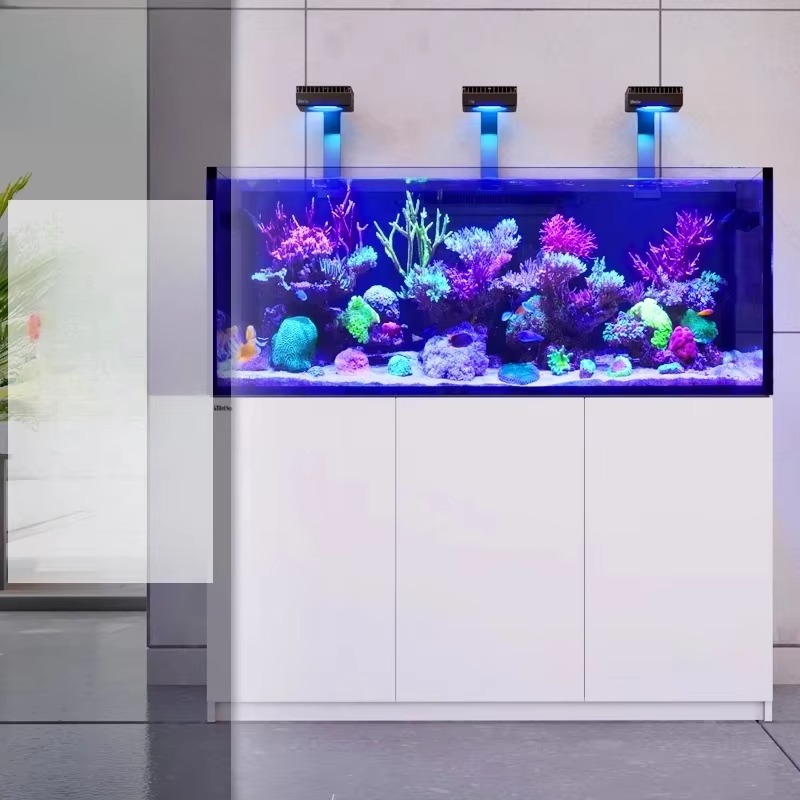 إكسسوارات أحواض السمك عالية ال - مراجعة Aquarium Marine Setup وسعره