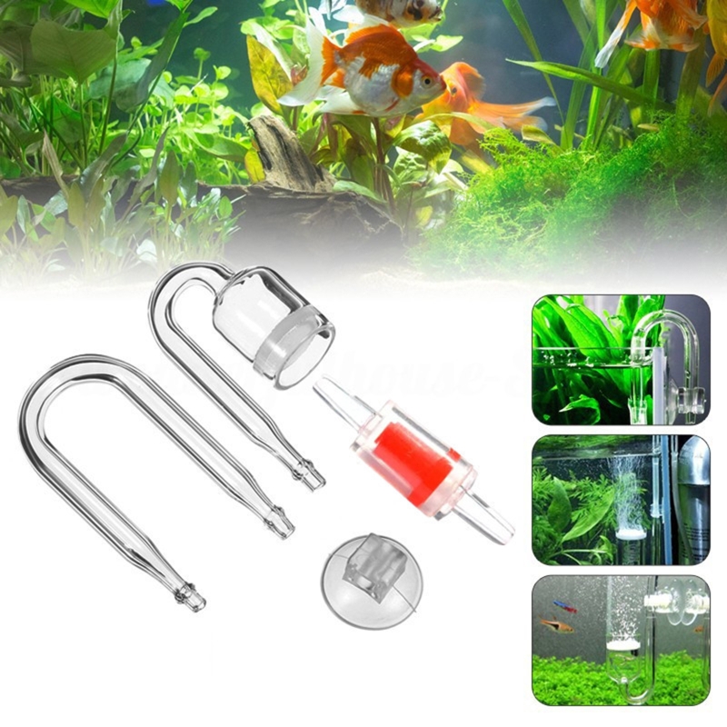 ناشر CO2 لحوض السمك ، خزان زجا - مراجعة Aquarium Marine Plants وسعره