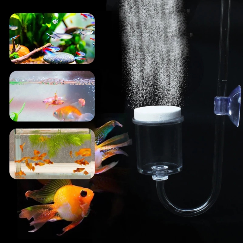 ناشر CO2 لحوض السمك ، خزان زجا - مراجعة Aquarium Marine Plants وسعره