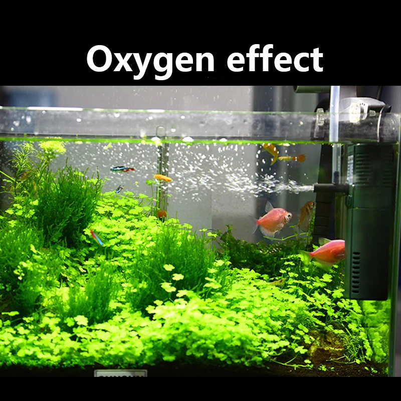 مضخة أوكسجين داخلي نانو صغيرة  - مراجعة Marine Aquarium Return Pump وسعره
